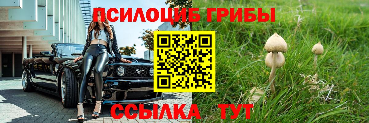 Галлюциногенные грибы мухоморы Новочеркасск