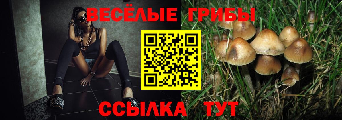 Новочеркасск  хочу наркоту  Вход с VPN  Галлюциногенные грибы мицелий 